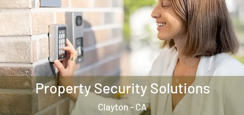  Property Security Solutions Clayton - CA